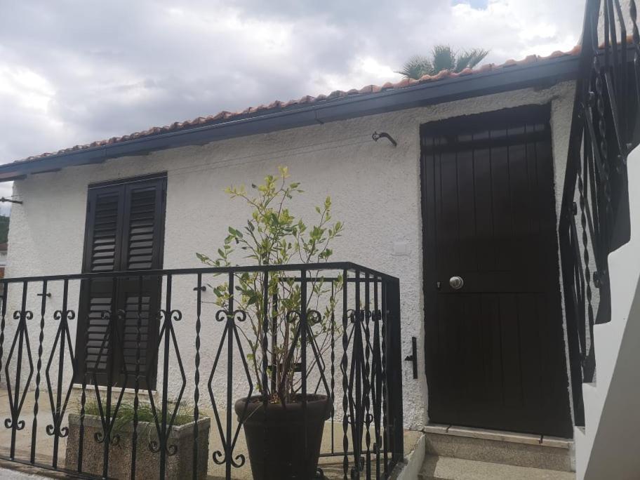 Casa Girao - Alojamento Local Termas de Sao Pedro do Sul Exterior photo